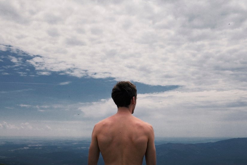 The Halted Traveller