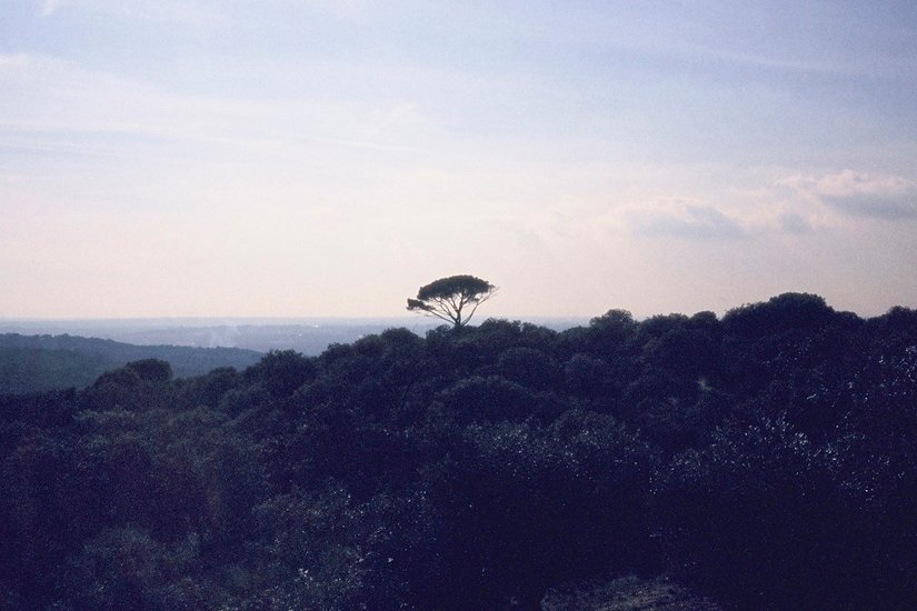 Otra Fiesta — photograph