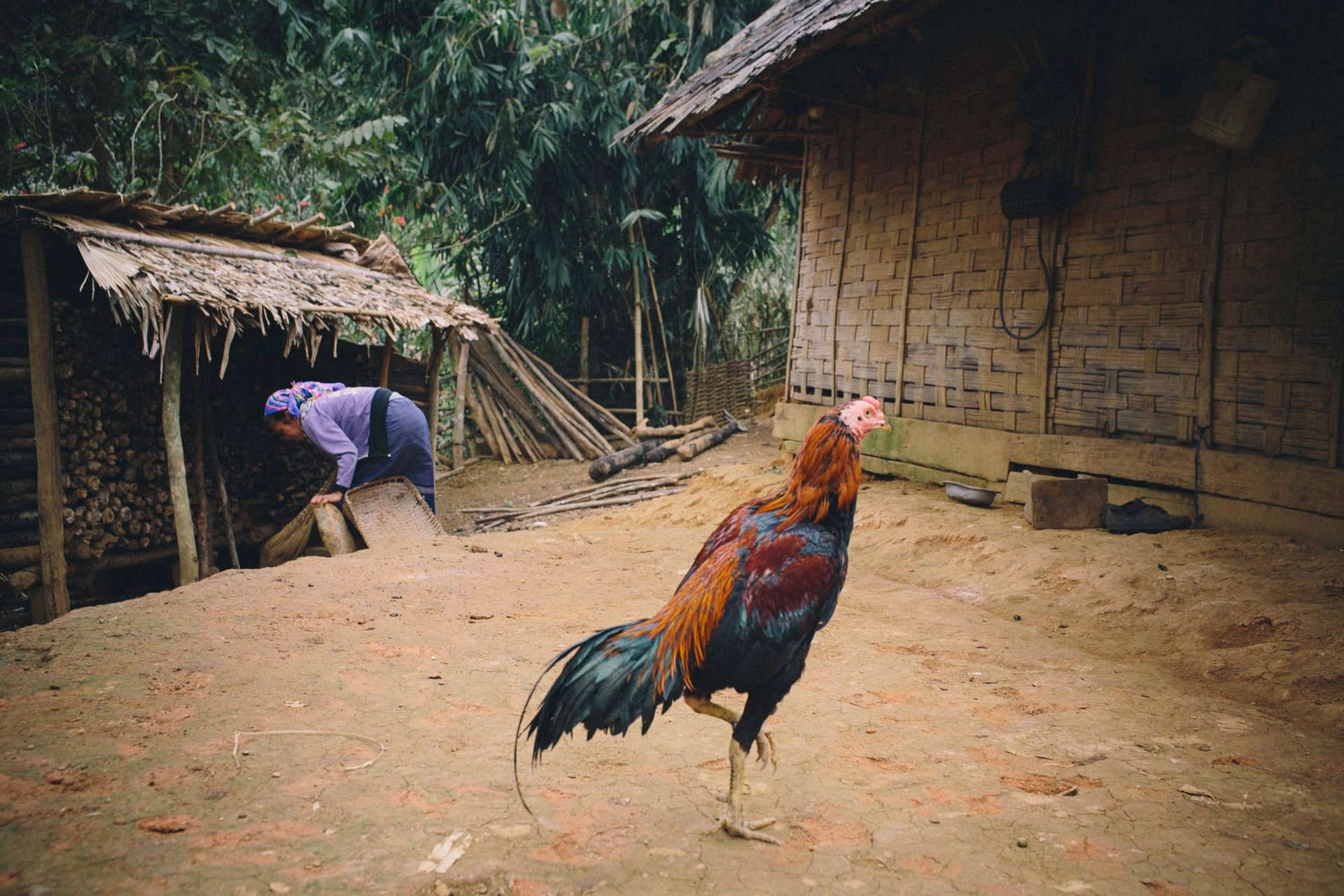 Landscape along the Nam Ou