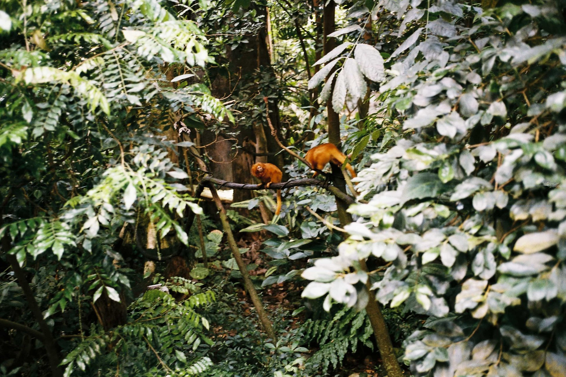 A Medio Camino — photograph