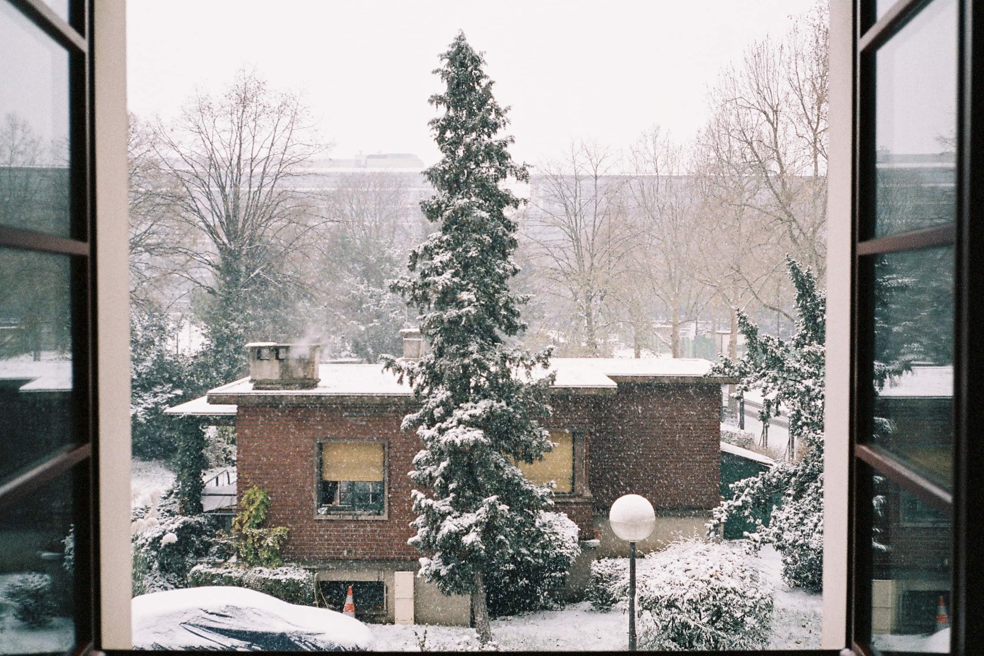 Otra Fiesta — photograph