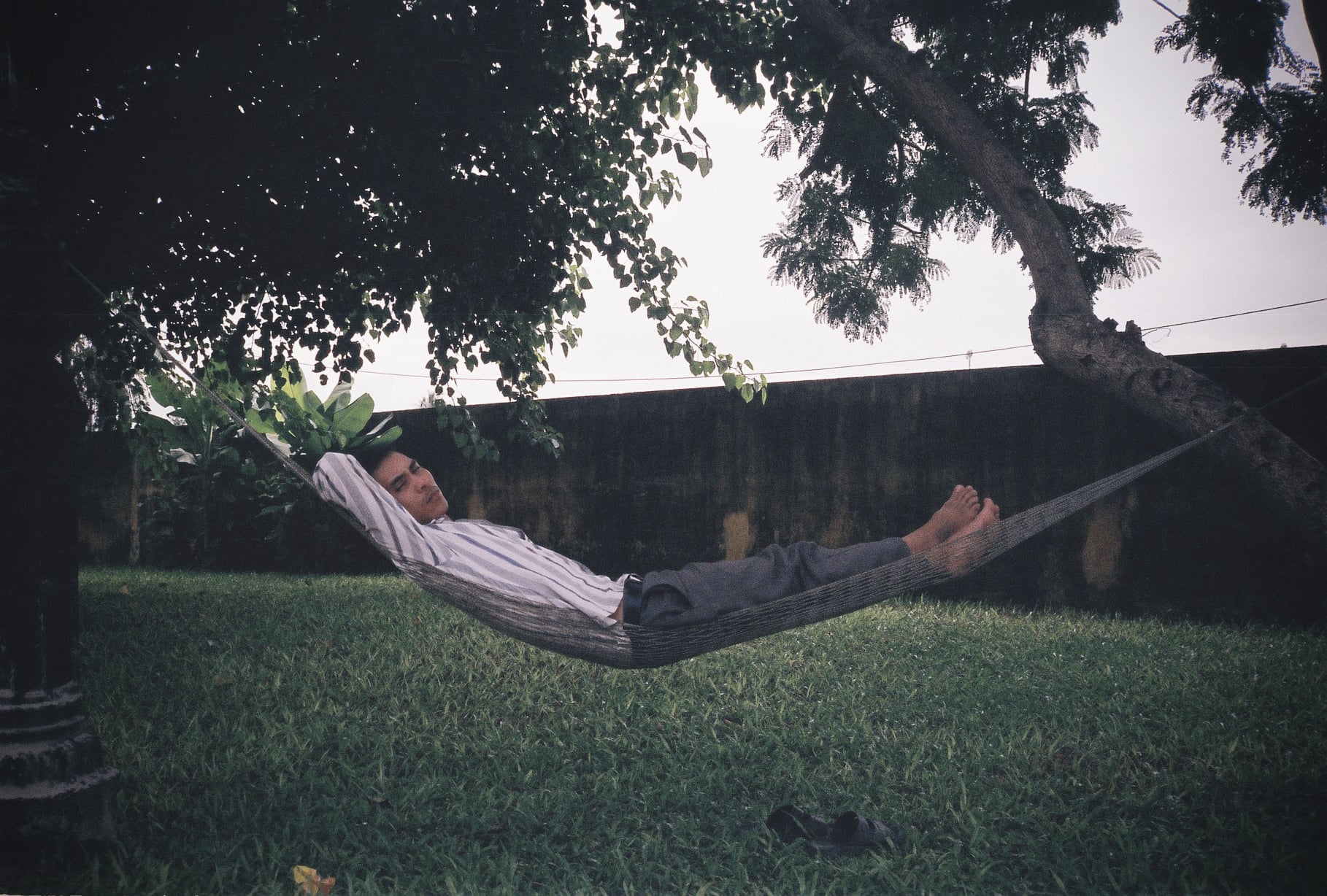 Damien Rayuela